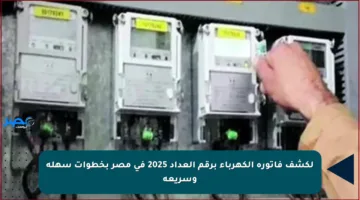 لكشف فاتورة الكهرباء برقم العداد 2025 في مصر بخطوات سهلة وسريعة
